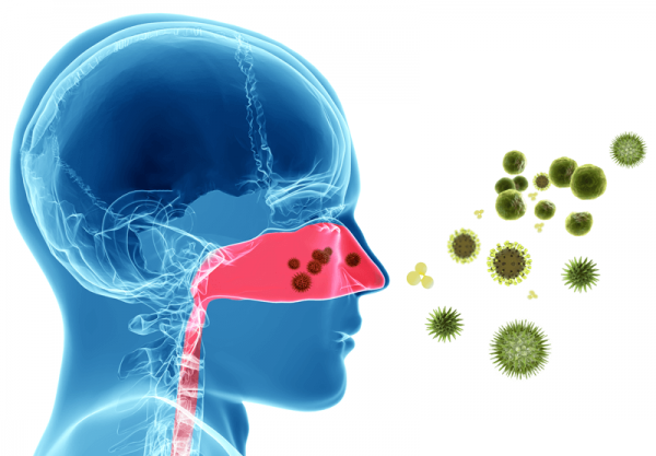 Acupuncture recommended for Hay Fever and Sinusitis