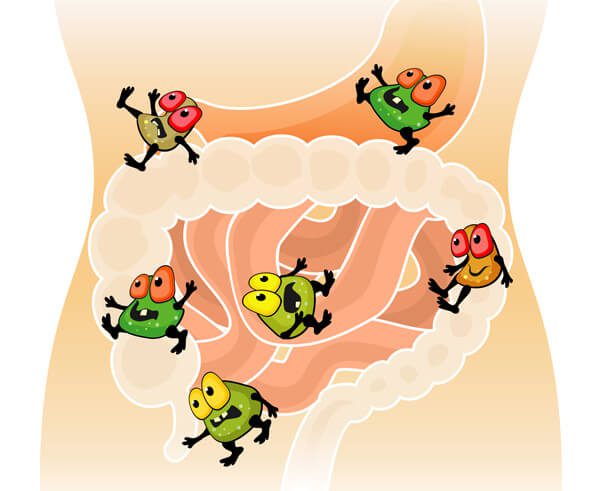 cartoon bugs in digestion